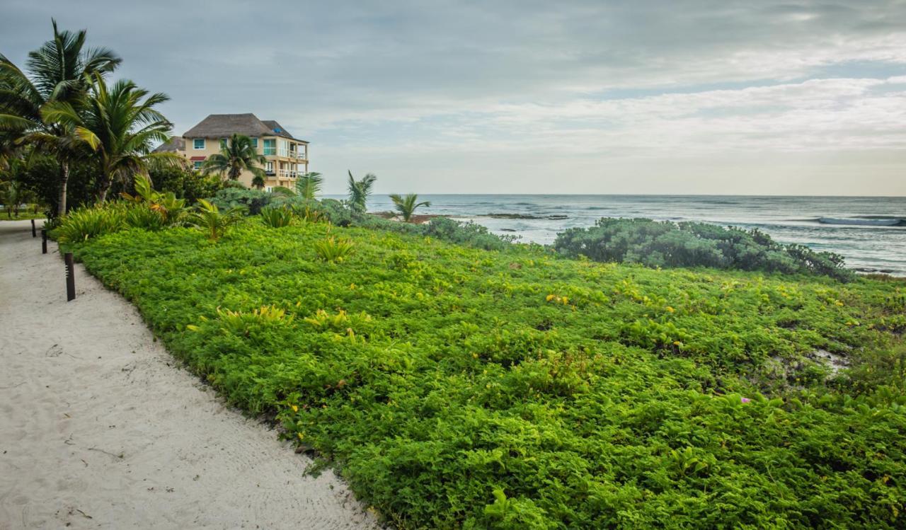 Caleta Tankah Hotel Tulum Ngoại thất bức ảnh